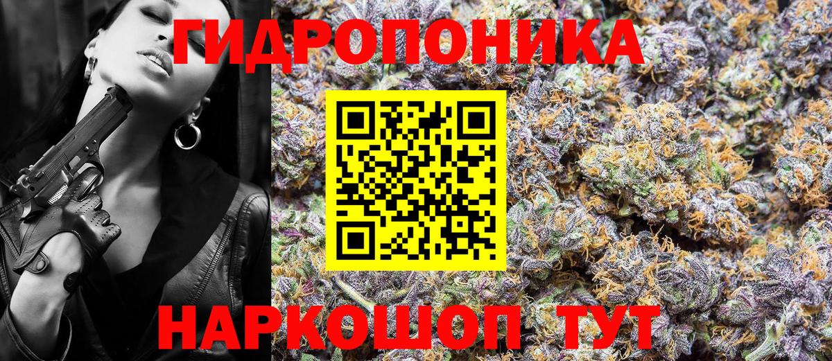 Нововоронеж  Конопля планчик  Марихуана ГИДРОПОН  Вход с VPN  Канабис White Widow 